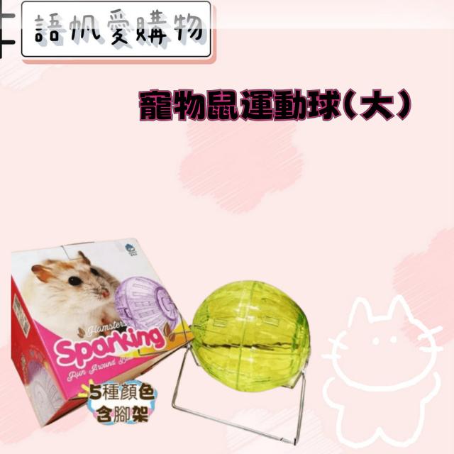 寵物鼠運動球(大)