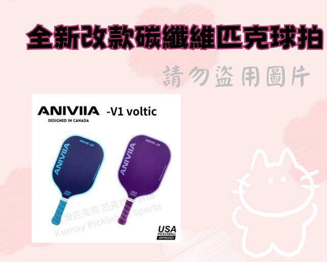 全新改款碳纖維匹克球拍