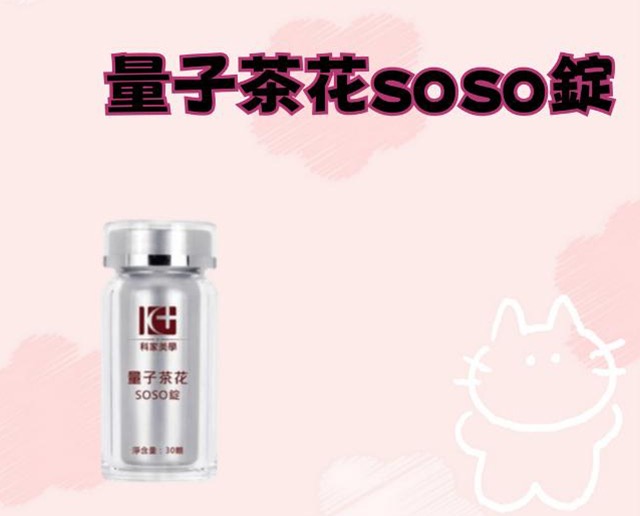 量子茶花soso錠
